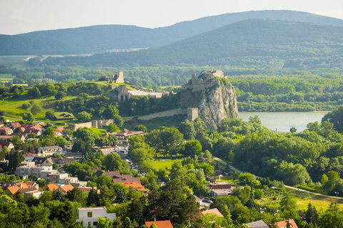 Privétour naar Bratislava en kasteel Devin vanuit Wenen
