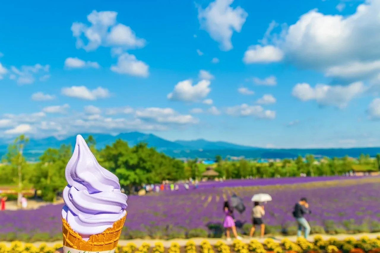 Sapporo: Furano Flower Sea & Biei Blue Pond Tour w/ Pickup 8:00 from Sapparo Sta. | Lunch Buffet + Flower Sea Ticket