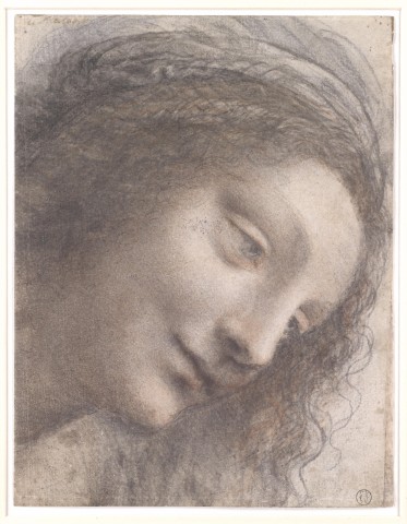 Visit Florence Leonardian Drawings in San Giovanni Valdarno