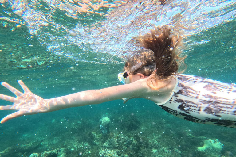 Diani Beach: Kisite Marine Park & Wasini Island Day Trip