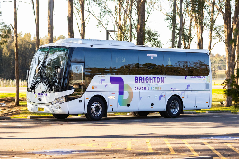 Japanese Tour Small Group: Blue Mountains, Scenic World, Zoo