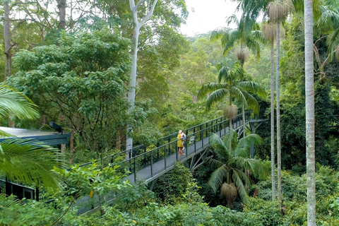 Brisbane: Hop on Hop off Bus to Tamborine Mountain