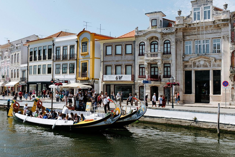 Private transfer from Porto to Lisbon (or vice versa) with up to 4 cultural stops Porto to Lisbon (or Lisbon to Porto) Private Tour with 2 Stops