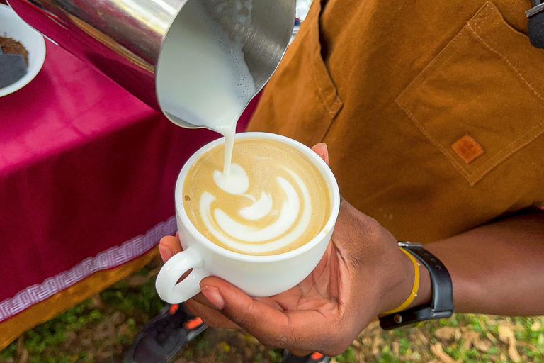 Zorobwe: Coffee Farm Tour with Cupping Session And Lunch