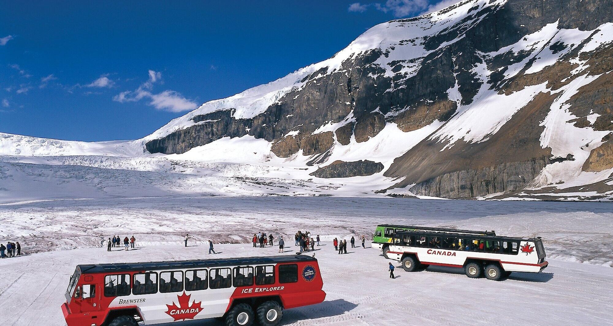 Jasper: Columbia-Eisfeld-Tour Skywalk, Gletscher und Seen