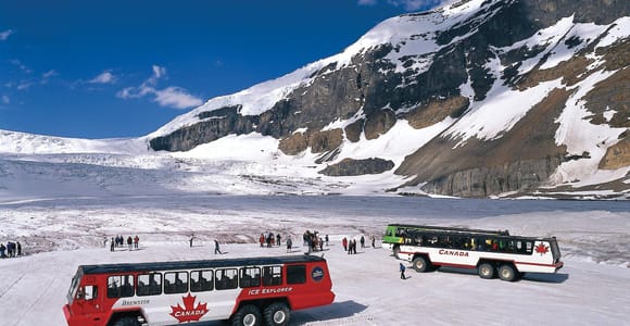 From Banff/Canmore: Columbia Icefield & Peyto Lake Day Trip