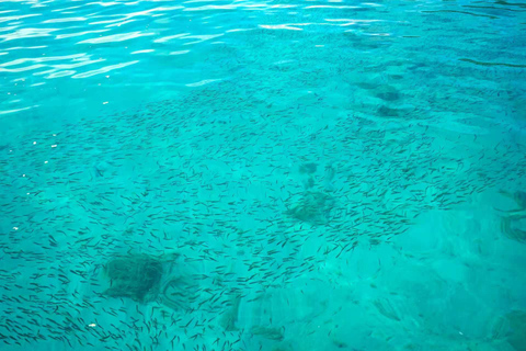 Phuket: Coral Island Laid-Back Morning Tour with Snorkeling Relaxing Yacht Cruise (Hotel Pickup)