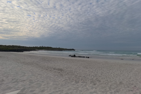 De Puerto Ayora: Passeio de um dia em Pinzon em um cruzeiro guiado em Galápagos