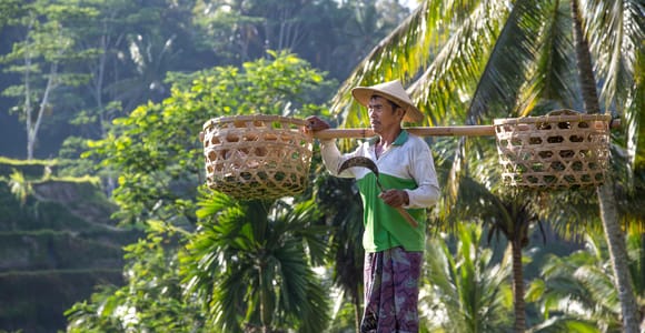 Ubud: Monkey Forest, Rice Terraces, Water Temples, Waterfall