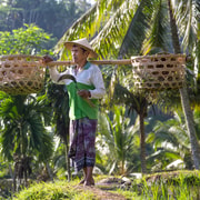 Ubud: Monkey Forest, Rice Terraces, Water Temple, Waterfall Ubud: Monkey Forest, Rice Terraces, Water Temple, Waterfall