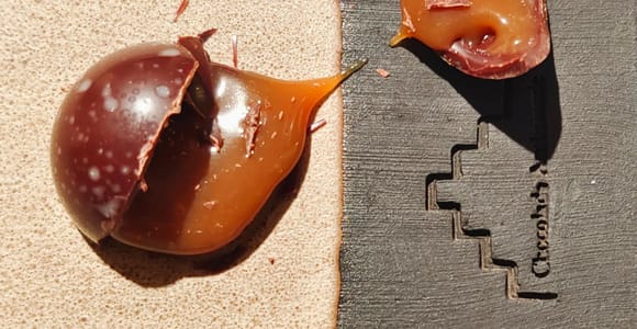 Private Schokoladenverkostung in Gent