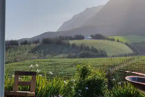 Luxury Wine Tour