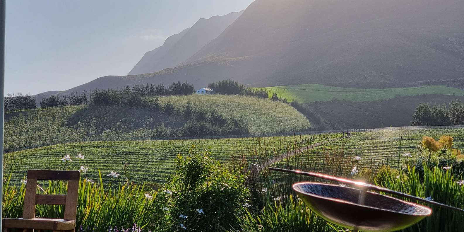 Lourensford Wine Estate Lourensford Spa Specials Couples Spa