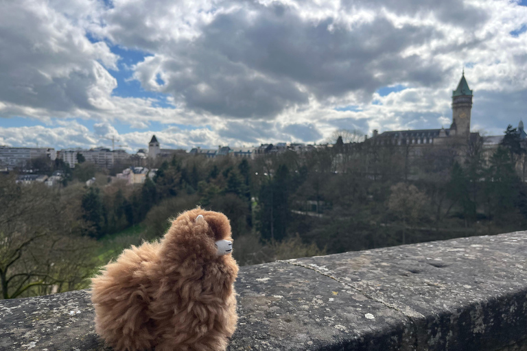 Passeio de um dia ao Luxemburgo a partir de Estrasburgo