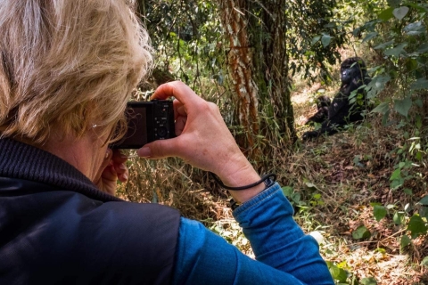 Safari de 5 días por Uganda con gorilas y chimpancés