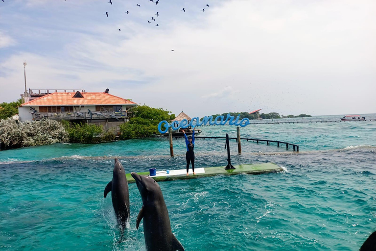 Rosario Islands: 5 Golden Islands Tour with Encanto Explorer Rosario Islands: 5 Islands Golden Charm Explorer Tour