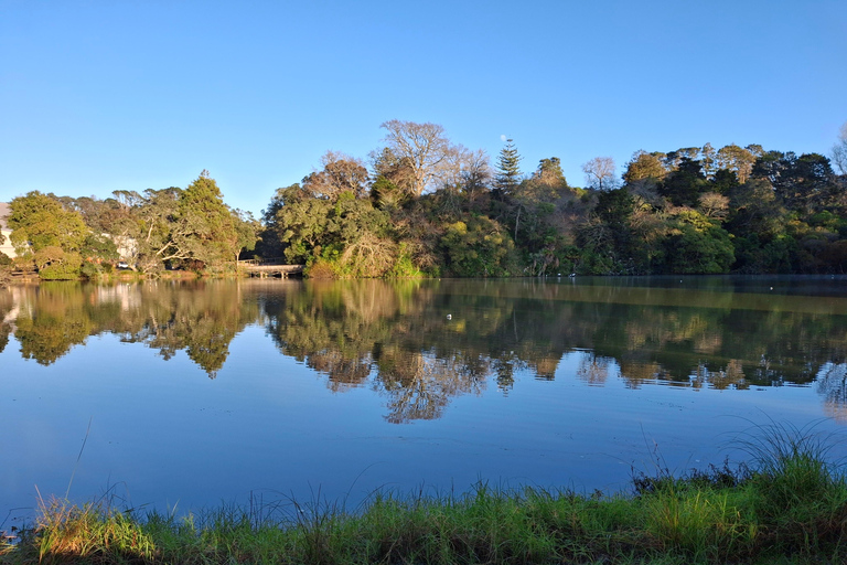 Auckland: Nature, Art, Seaside and Sugar Tour