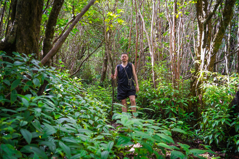 Maurice : randonnée guidée dans les gorges de la Rivière NoireMaurice : Randonnée guidée dans les gorges de la Rivière Noire