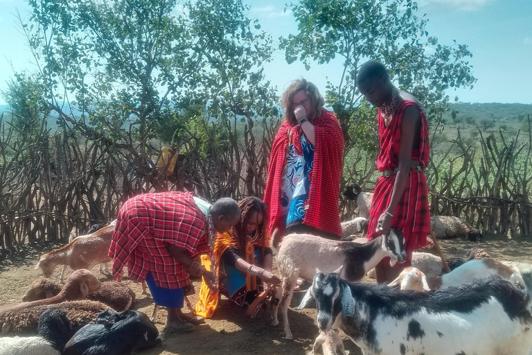 Wycieczka kulturalna do wioski Masajów