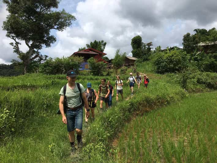 Chiang Mai: 2-Day Jungle Trek with Elephant Farm & Raft Ride | GetYourGuide