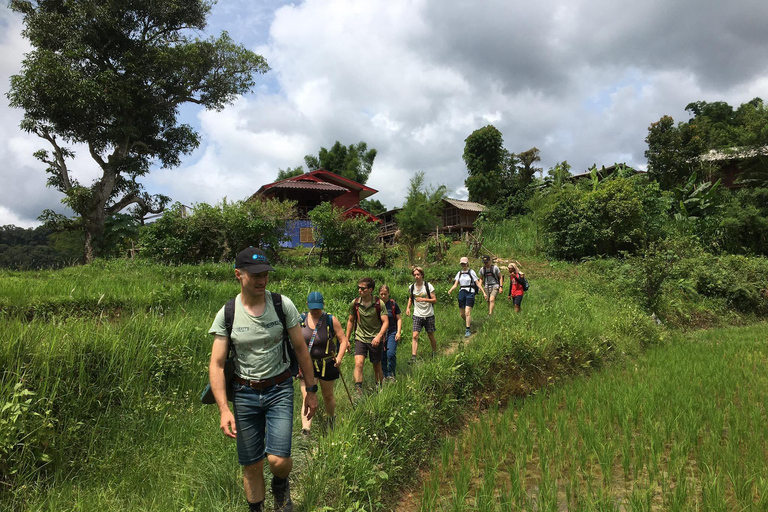 Chiang Mai: 2-dagars djungelvandring med elefantfarm och forsränning