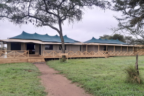 3-Day Tarangire, Hadzabe & Ngorongoro Safari from Nairobi