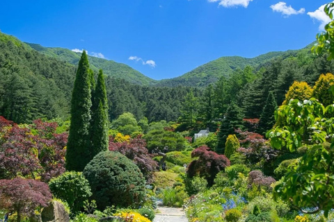 From Seoul: K-Drama Filming Tour: Garden of Morning Calm