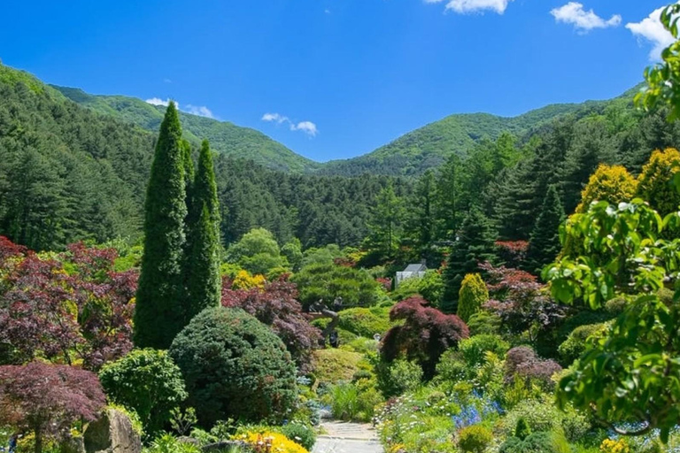 From Seoul: K-Drama Filming Tour: Garden of Morning Calm