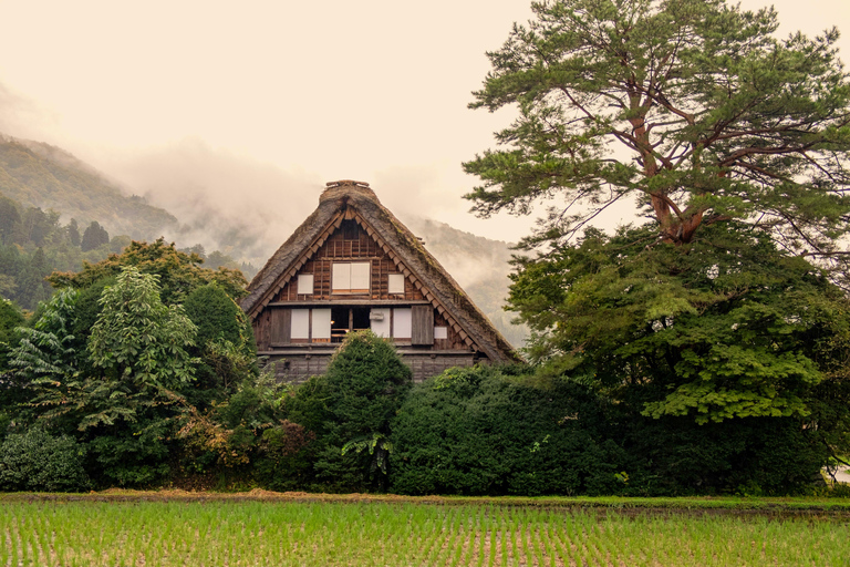 Desde Tokio: excursión de 1 día a Shirakawago y Kanazawa