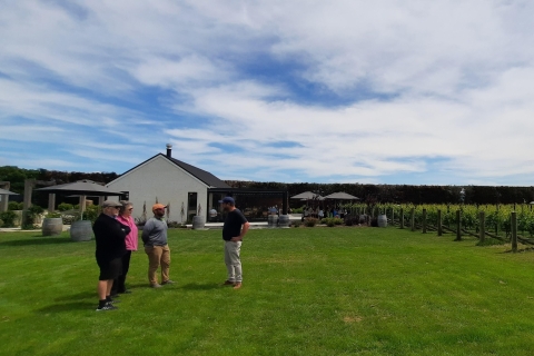Excursión a Martinborough Wine and Food con almuerzo de Wellington