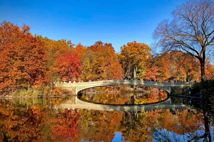 Willkommen in New York: Broadway, 5th Avenue, Central Park Tour. Foto: GetYourGuide Willkommen in New York: Broadway, 5th Avenue, Central Park Tour. Foto: GetYourGuide