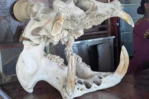 SAFARI ANIMALIER DE ZANZIBAR À MIKUMI 3 JOURS ET 2 NUITS