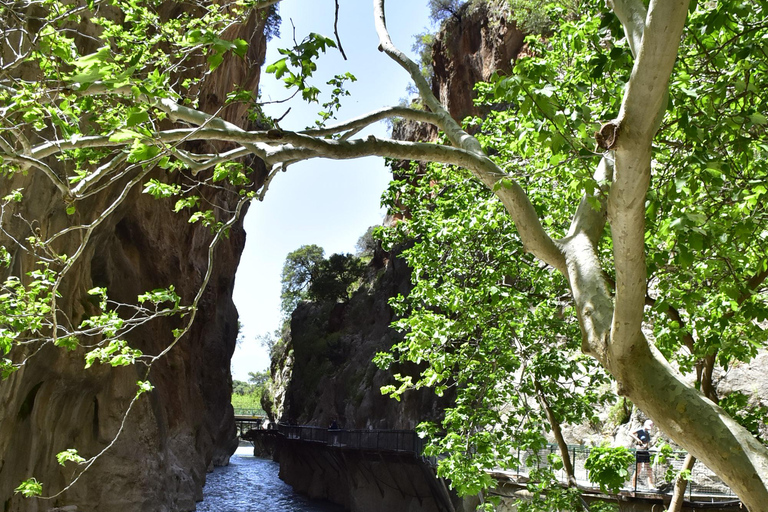 Fethiye: Saklıkent Jeep Safari Tour