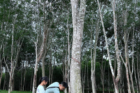 Krabi: Mirador Klong Root Kayak,Alimentación de Peces y másPrograma B: Kayak, plantación de caucho y alimentación de elefantes