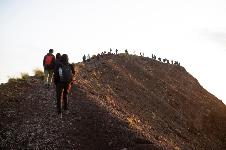 Bali: Mount Agung Summit Trek 3142 M via Edelweiss Trail Meet Up Option
