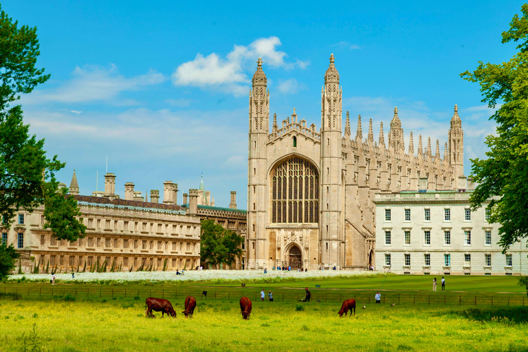 Cambridge PhD-Led Chinese Walking Tour + Kings College Entry PHD Student Chinese Walking Tour with King's College entry