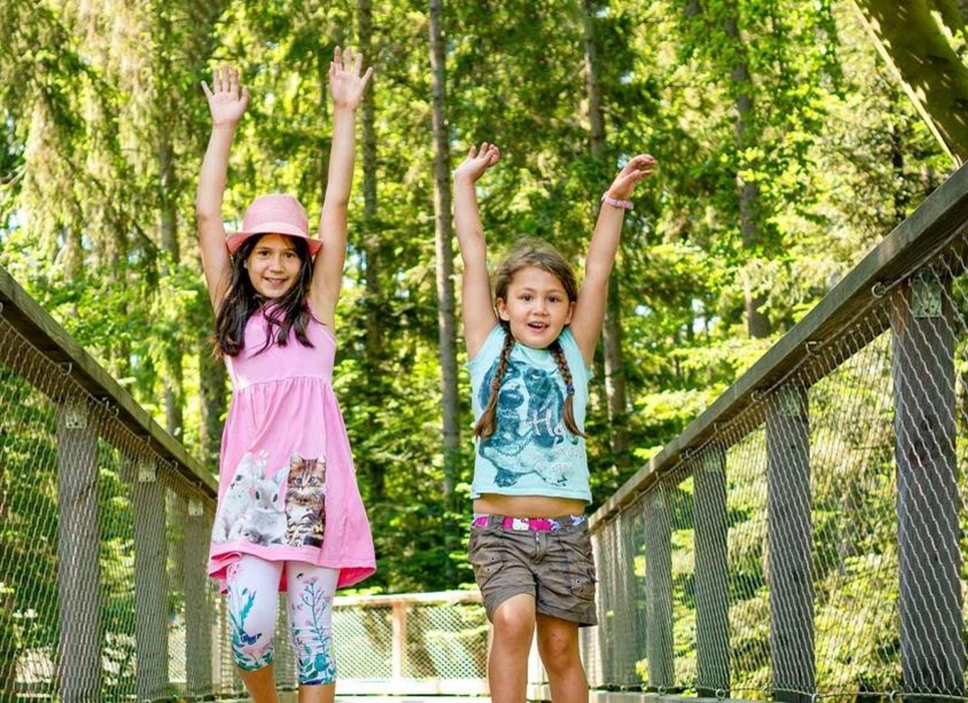Schwarzwald: Treetop Walk & Lookout Tower Experience
