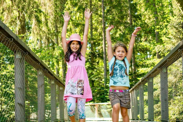 Czarny Las: Spacer w koronach drzew i wieża widokowa