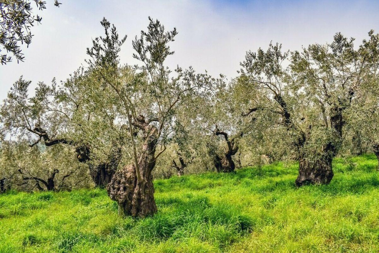 Chania: 7 Apokoronas Villages Private Day Trip with a local