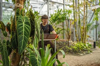 Amsterdam: Eintrittskarte für den botanischen Garten „Hortus Botanicus“