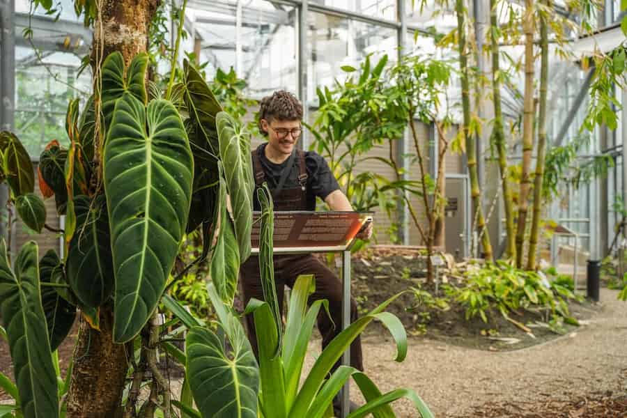 Amsterdam: Eintrittskarte für den botanischen Garten „Hortus Botanicus“. Foto: GetYourGuide Amsterdam: Eintrittskarte für den botanischen Garten „Hortus Botanicus“. Foto: GetYourGuide