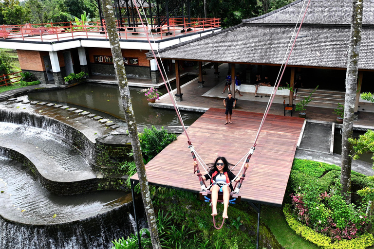 North Bali: Dolphin Swim, Snorkeling, & Waterfall Cliff Jump Small Group With Hotel Transfer Central Bali