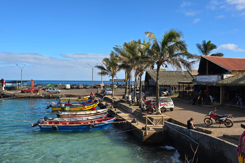Easter Island – Introductory Dive in the Corals of Rapa Nui Easter Island: Introductory Dive in the Corals of Rapa Nui