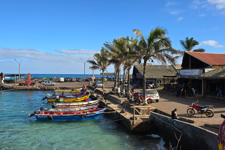 Easter Island – Introductory Dive in the Corals of Rapa Nui Easter Island: Introductory Dive in the Corals of Rapa Nui