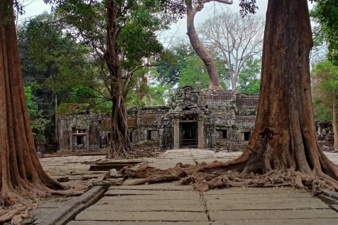 1-tägige private Angkor-Tempel-Tour von Siem Reap aus