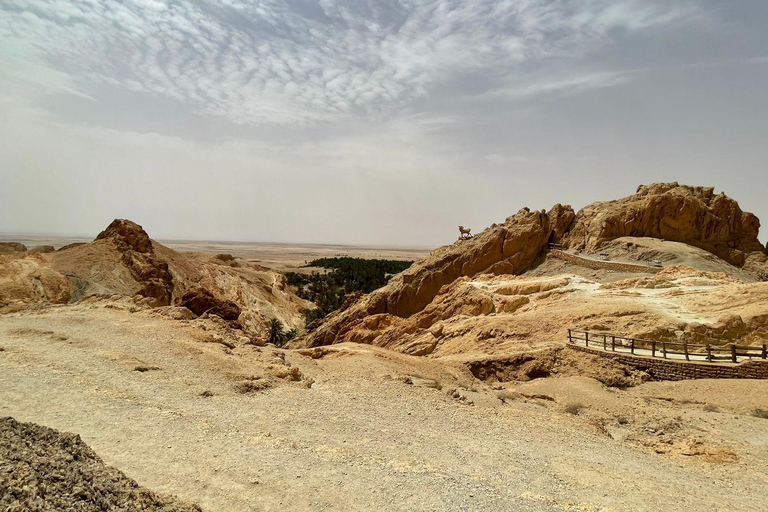 2 Tage in der Gruppe in die Sahara von Sousse aus