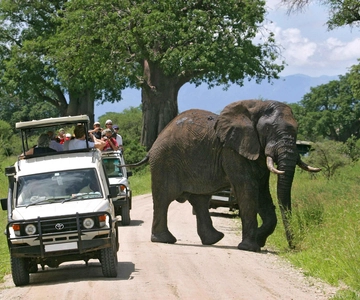 Tsavo East and West: 3-Day Wildlife Safari From Mombasa