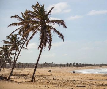 Fortaleza: Viagem à praia com serviço de busca, banho e actividades