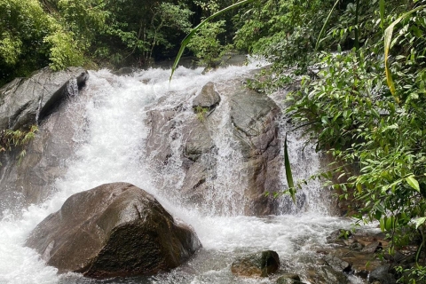 Phuket: spływ bambusem, jaskinia małp i opcja quadaSpływ bambusowy quadem 30 minut