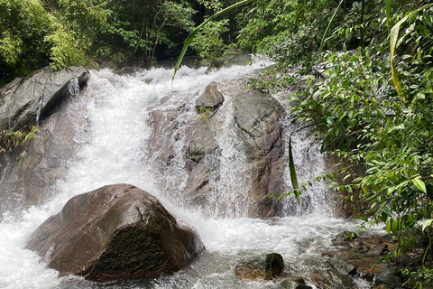 Phuket: Bamboo Rafting, Monkey Cave en ATV-optieBamboo Rafting zonder ATV-optie